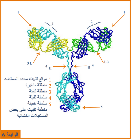 التخصص الوظيفي للبروتينات دور البروتينات في الدفاع عن الذات